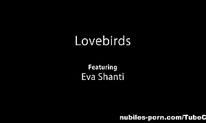 Nubiles-Porn Video: lovebirds
